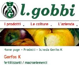 Gerfos K, ottimo per il decorso vegetativo - Plantgest news sulle varietà di piante